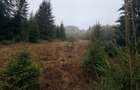 Vand teren Com Ciocanesti , sat Botos ,jud. Suceava
