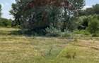 Teren-5000mp DN Ganeasa,sat Sindrilita,T9/Parcela 32/37