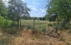 Vand Teren Intravilan in Centrul Localitati Rapsig Jud. ARAD 1250 mp. - 6