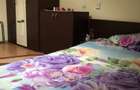 Apartament de inchiriat zona Nufarul 1500 lei - 5
