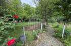 OCAZIE RARA - Teren cu cabana de vanzare langa Lacurile Naturale - Ocn - 5