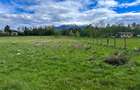 Teren Bran Zarnesti 3 km Castelul Bran 25 km Brasov