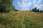 Teren Dealu Negru de vanzare, la 3 km de Belis - 4