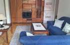 Apartament cu 2 camere de inchiriat in zona Vlaicu - 10