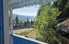 Cabana de vanzare -Colibita