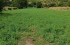 Vand Teren intravilan zona de munte Buzau Comuna Chiojdu