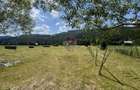 De vanzare | Teren intravilan 2802mp | Sabasa | Borca | Neamt
