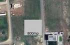 Teren 800 mp in Delta Snagov Izvorani vedere la lac,acces ponton barca - 8