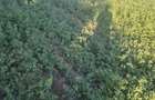 Vand teren intravilan - 4