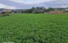 Vand teren intravilan 3500mp,sat Costana, com Todiresti - 5