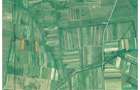 Vand 1,7325 hectare Teren Arabil Extravilan Orasu Nou-Vii, jud. Satu Mare, Acte la Zi, Proprietar - 6