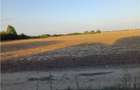 Otopeni-Str.Dr.Garii Balotesti-2.900mp-front 50ml-Ideal Investitie - 3