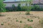 6 parcele intravilane de 485 mp in Mihai Voda, Bolintin Deal, Giurgiu - 5