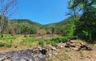 Teren de 5000 mp, în Borlova - 4