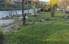 Casa 7 camere P+1, Bd. Ion Mihalache, Campulung Muscel - 10