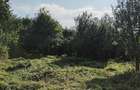 Teren de vanzare com. Aiton - 4