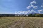 Vânzare teren 13.000 mp - Runcu-Suseni - oportunitate turistică - 7
