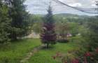 Cabana cu 5 camere de vanzare in Provita - 19