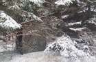 Vand teren intravilan - 5