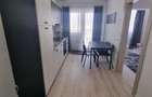 Apartament 1 camera Bucium 330 euro - 2
