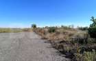 Teren intravilan, 4.583 mp, Parc Industrial Sanandrei