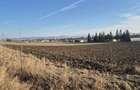 Lot in Arcus, Covasna - 1