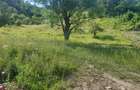 Teren vanzare 1,73 ha