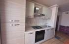Inchiriez 2 camere decomandat pet friendly Triaj - 6