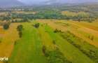 ?inca Noua 8.439 mp pentru agricultura, apicultura ?i investi?ie - 9