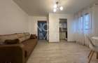 Oportunitate investitie proprietate cu chiriasi, Sibiu - 13