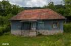 Casa / Vila in Crisan , com Ribita, jud Hunedoara - 10