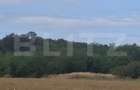 Padure de vanzare, 0,75 hectare, zona Suta Seaca
