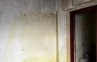 Apartament 2 camere Baia de Aries Jud. Alba - 8