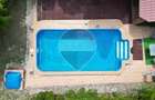 Leamna de sus, casa cu piscina, 2000mp - 11
