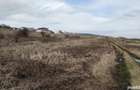 teren 2900m2 sat gheorgheni