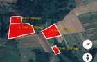 Vand aproximativ 12 hectare in cutina - 2