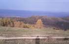 Teren superb Tarsa Luncani Hunedoara - 1