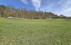 Teren Bradu, jud. Sibiu, 2500m2