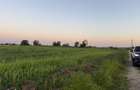 Ideal Investitie - Str Ctin Brancoveanu, zona noua, intravilan in noul - 15