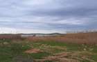 Teren intravilan 3615mp-Salcioara, jud Tulcea- deschidere la balta/lac - 1