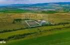 Oportunitate pentru fermieri: 10.800 mp teren arabil in Rotbav, Bra?ov - 11