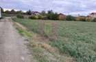 COSERENI (IL) - SE VINDE TEREN 2000 MP LA SOS BUCURESTI -URZICENI - 2