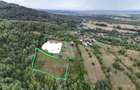 Teren de 8000 mp, în Runcu - 3