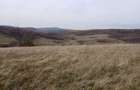 De vanzare,Tomnatic Bihor