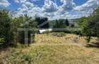 Casa cu 3 camere, 2300mp teren, zona SubPadure - 6