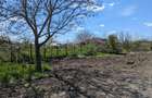 OFERTA Teren intravilan in Nuntasi - 3