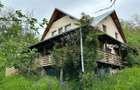 Casa P+M renovata 2025, 111 mp, 3.029 mp teren, Drajna de Sus - 9