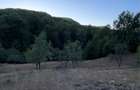 VAND TEREN 8967/MP, Barsana, Maramures - 8