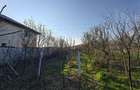 Teren intravilan Bucov, cartier Mica Roma, de vanzare - 3