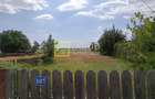 Teren 5000 mp, Dumbrava - Itesti, jud. Bacau, la E85 - 5